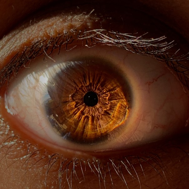 Sheel Patel pic with poem